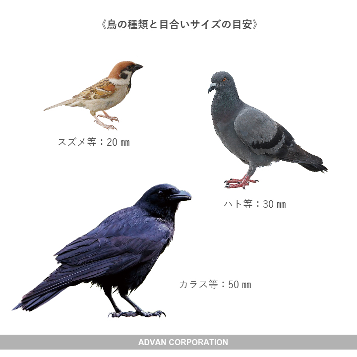 対象の鳥の大きさで適合サイズを選びます