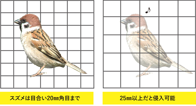 何が原因 防鳥ネットを張ったのに鳥が入ってる スズメ ハト 目合い 額縁ワイヤー 支持金物 鳥害タイムズ エドバンコーポレーション